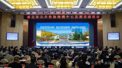 四度亮相省级交流平台 “麻城经验”解锁检验检测赋能产业新范式