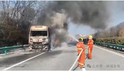 协同作战灭烈火  跨县驰援显担当