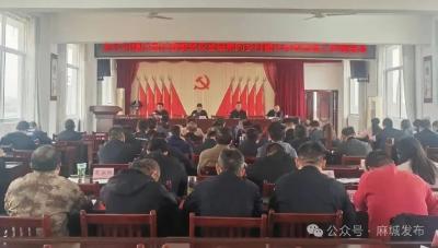 【干部素质提升年】夫子河镇：淬炼精兵赋能振兴 一线实干彰显担当