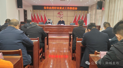 市水利和湖泊局召开水利行业重点工作推进会