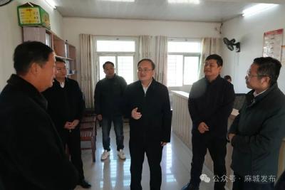 坚持以全会精神为指引 扎实推进乡村全面振兴