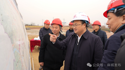 强化统筹 优化服务 全力推进沿江高铁项目建设