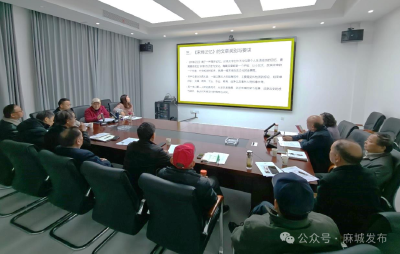 宋埠镇：以文聚力 共绘历史文化全景图