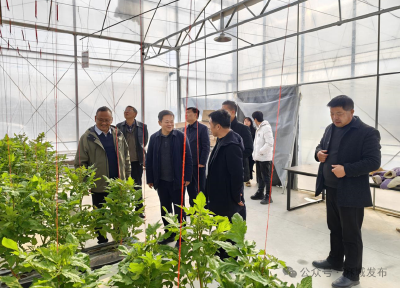 宋埠镇：精准对接强合作 共绘发展新蓝图