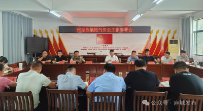 【拧紧“安全阀” 守护“生命线”】张家畈镇：织密燃气安全“防护网” 守护万家烟火气