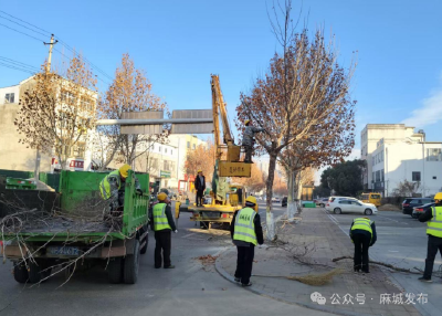 麻城城管全力应对寒潮 保障城市运行与出行安全