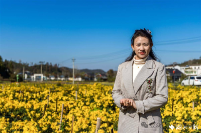 身价暴涨！产自湖北麻城，高峰期日销2万单