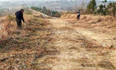 宋埠镇扎实推进森林防火专项行动