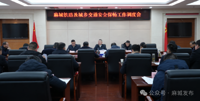 汪国兵调度交通安全保畅工作