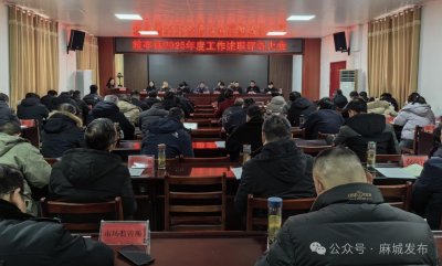 歧亭镇召开2025年度工作述职评议大会