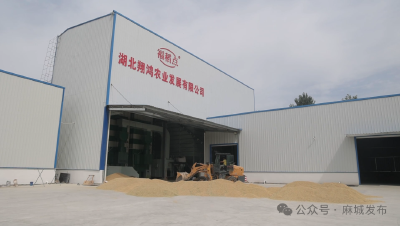 麻城两家返乡创业企业两个项目成功入选2025年“荆楚归雁项目” 