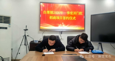 白果镇实现2026年一季度招商“开门红”