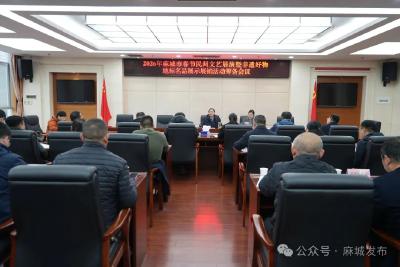 展非遗促消费麻城春节欢乐过大年