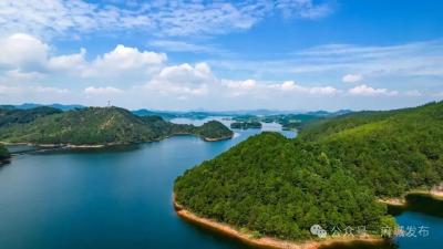 麻城国土绿化提质见效 油茶产业强势崛起