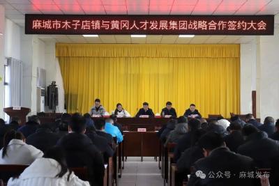 木子店镇：人才赋能兴产业 战略合作促发展