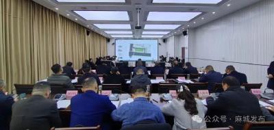 坚持高标准规划 引领高质量发展