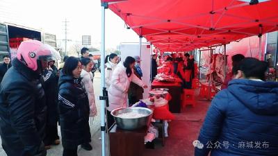 麻城供销集团年货节收获满满