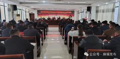 麻城全力推进耕地保护和自然资源督察执法工作