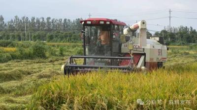 【非凡“十四五” 聚力建支点】麻城：沃野绘新卷 振兴谱华章