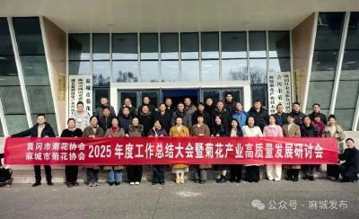 聚智汇力擘画新蓝图 麻城菊花产业迈向高质量融合发展新阶段 