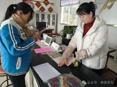 麻城村社公益基金幸福家园募捐活动宣传进村社