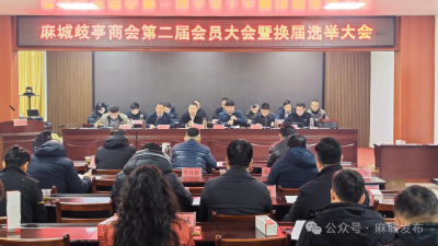 麻城歧亭商会第二届会员大会暨换届选举大会召开