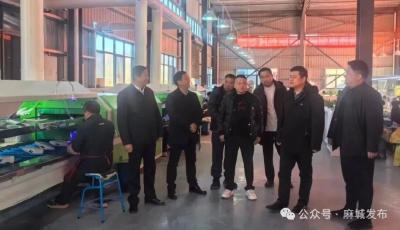 市领导调研重点农业项目建设