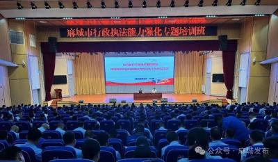 法治赋能强根基 司法为民显担当