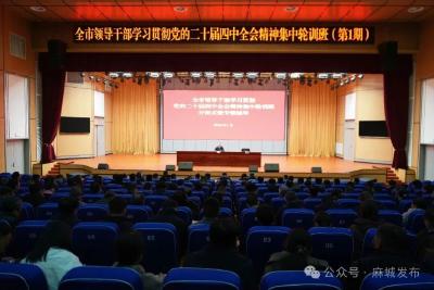 汪国兵出席全市领导干部学习贯彻党的二十届四中全会精神集中轮训班开班式并作辅导报告