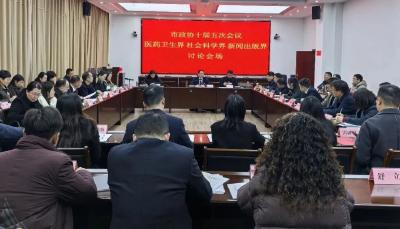 罗俊等领导参加市政协十届五次会议分组讨论