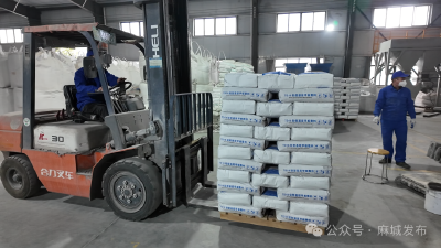 【项目一线】车间奏响奋进曲 麻城工业跑出春日加速度