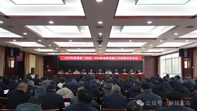 汪国兵主持召开2025年度党委（党组）书记抓基层党建工作述职评议会议