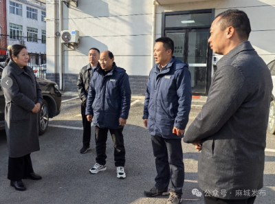 夫子河镇情暖新春赴一线 压实责任显担当