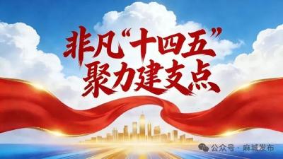 【非凡“十四五” 聚力建支点】麻城：筑牢“安居”基点 托起百姓“宜居”梦