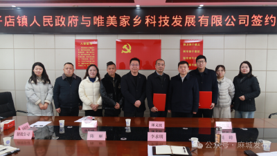 木子店镇：政企携手启新程 农文旅电促振兴