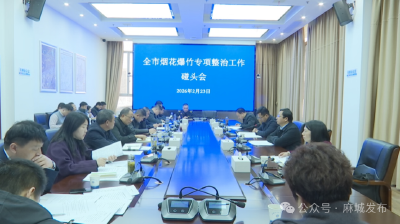 【绷紧弦 保安全】强化烟花爆竹专项整治 筑牢全市安全稳定防线 