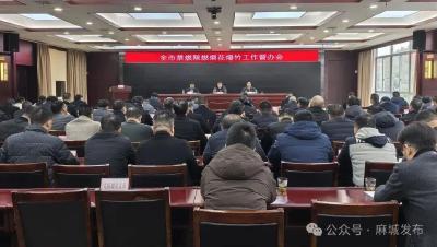 抓实抓好禁燃限燃工作 着力营造整洁优美 文明健康 祥和有序的节日氛围