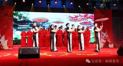 神光花园：第二届春晚启新程 邻里同心 共绘七彩神光和美社区