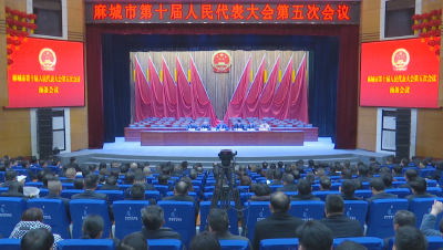 【聚焦两会】市十届人大五次会议举行全体代表预备会议