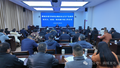 筑牢春节和“两会”期间安全工作屏障