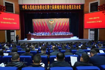 市政协十届五次会议隆重开幕