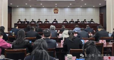 市十届人大常委会第29次会议召开