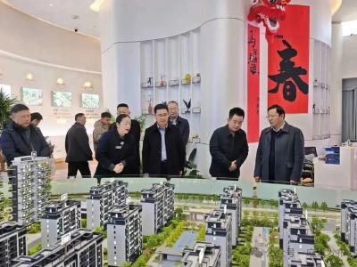 进一步压实安全工作责任 确保全市人民度过平安祥和的新春佳节