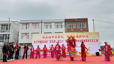 夫子河镇举办文艺汇演 弘扬文明新风