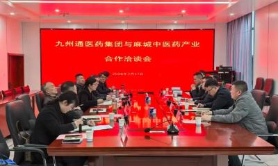 九州通医药集团到麻城洽谈中医药产业合作向更深层次更广领域迈进