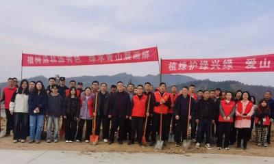 春风拂大地，植树正当时！