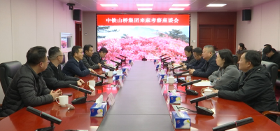 中铁山桥集团有限公司来麻城考察