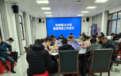 宋埠镇召开2026年基层党建工作会议