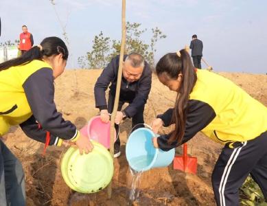 提升森林质量 建设绿色麻城