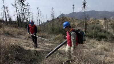 木子店镇：清明防山火 党员守一线